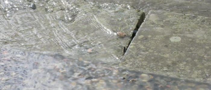Platzregen Platzregen