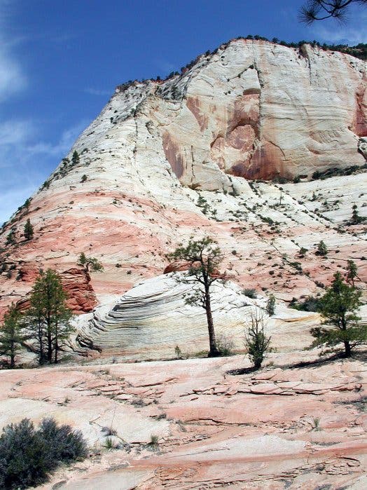 Navajo-Sandstein im Zion-Nationalpark