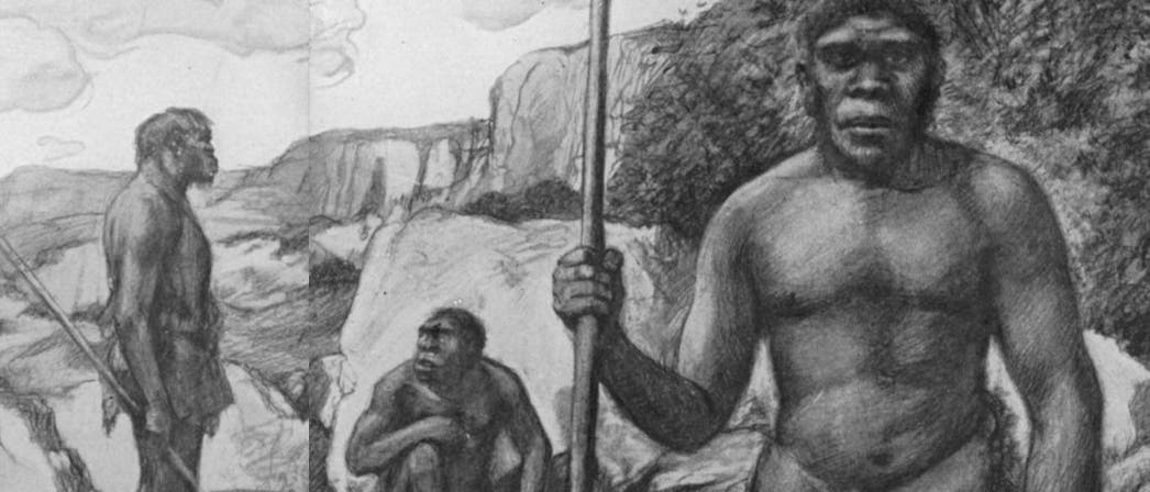 Homo rhodesiensis Homo rhodesiensis