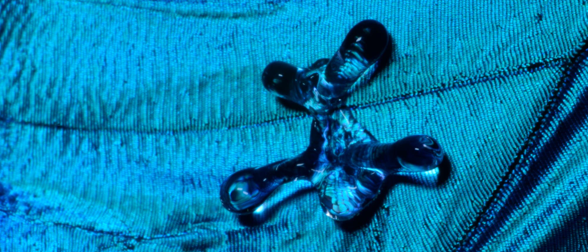 Tropfen auf Schmetterlingsflügel Tropfen auf Schmetterlingsflügel