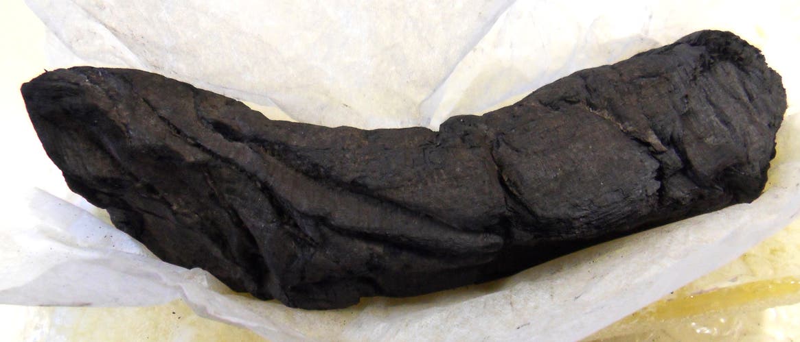 Verkohlte römische Papyrus-Rolle Verkohlte römische Papyrus-Rolle