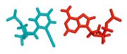 Thymidinanalogen "E" mit Ethingruppe Thymidinanalogen "E" mit Ethingruppe