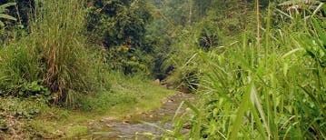 Flusslandschaft Flusslandschaft