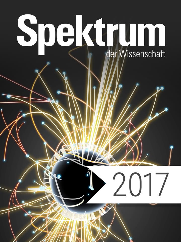 Spektrum der Wissenschaft Digitalpaket: Spektrum der Wissenschaft Jahrgang 2017