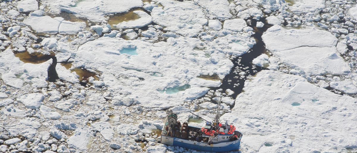 Eisschollen aus mehrjährigem Eis umgeben ein Fischerboot. Eisschollen aus mehrjährigem Eis umgeben ein Fischerboot.