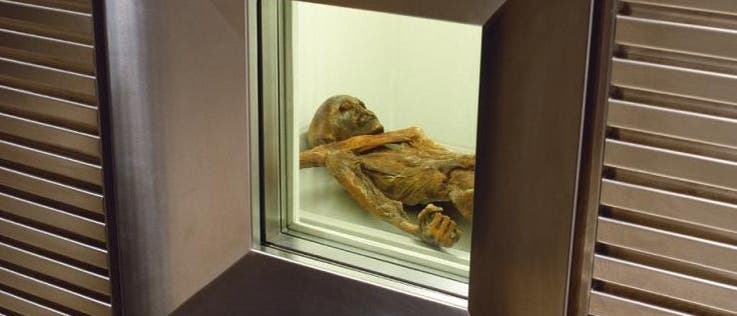 Ötzi im Kühlschrank Ötzi im Kühlschrank