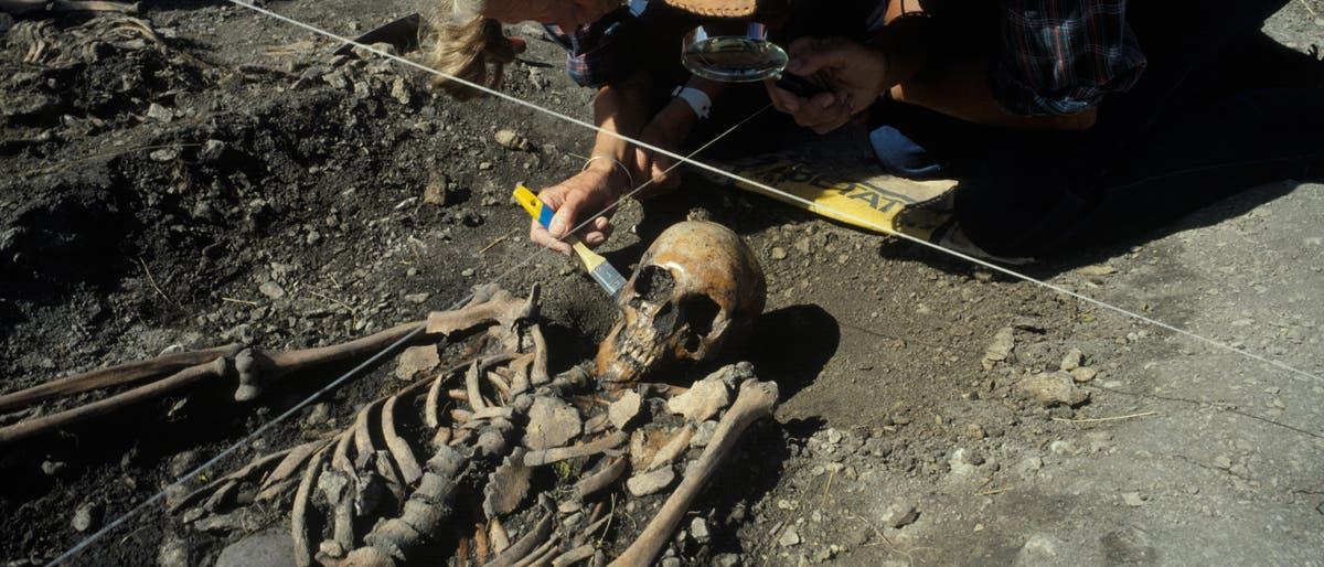 Skandinavische Forscher präparieren das Skelett eines jungsteinzeitlichen Wildbeuters an einer Ausgrabungsstätte auf Gotland