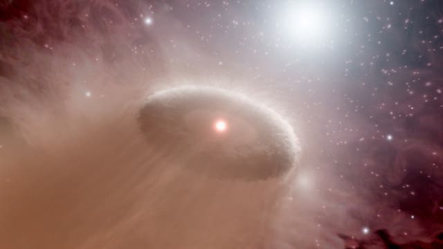 Künstlerische Darstellung einer verdampfenden protoplanetaren Scheibe um einen jungen Stern