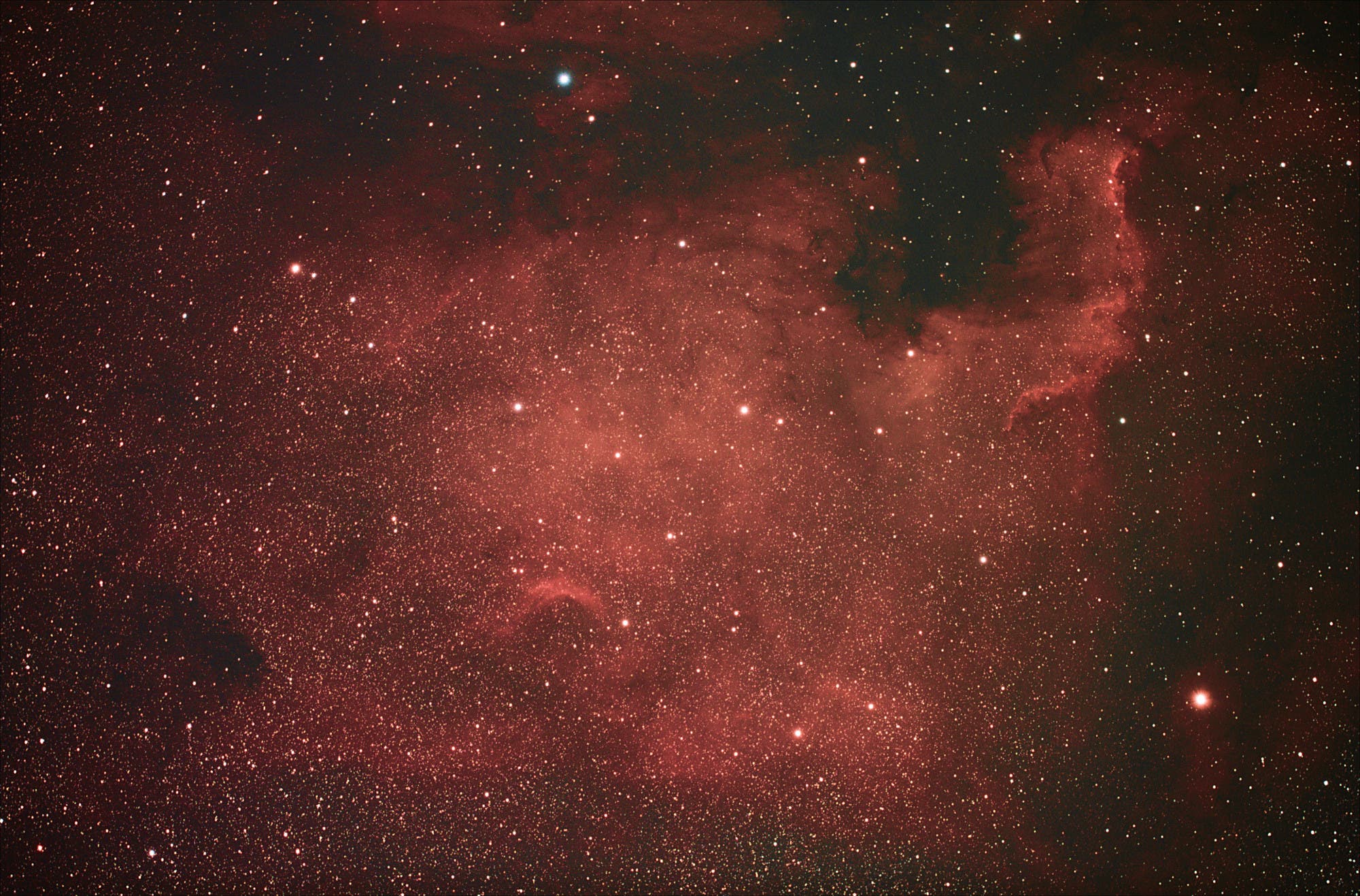 Der Nordamerika-Nebel NGC 7000