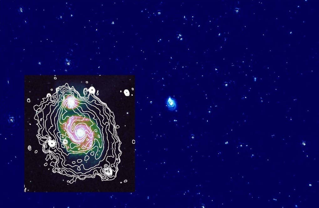 LOFAR-Radiokarte der Strudelgalaxie Messier 51