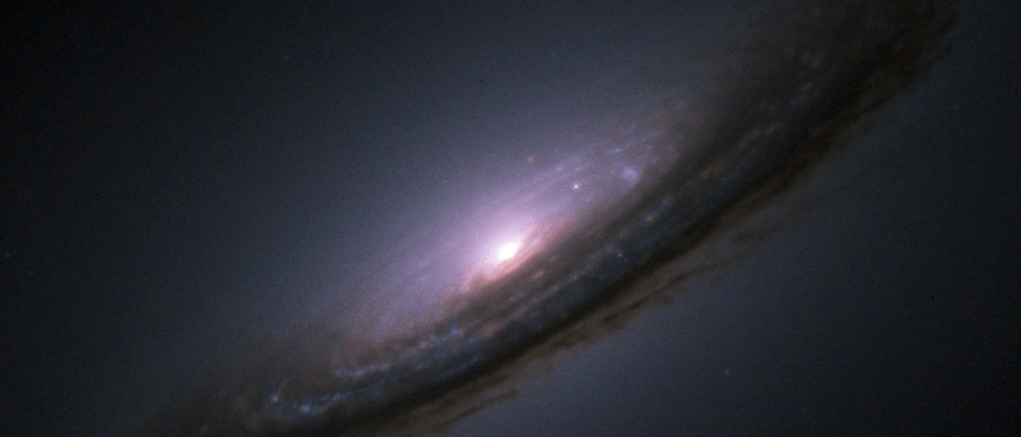 Die Supernova 1994D Die Supernova 1994D