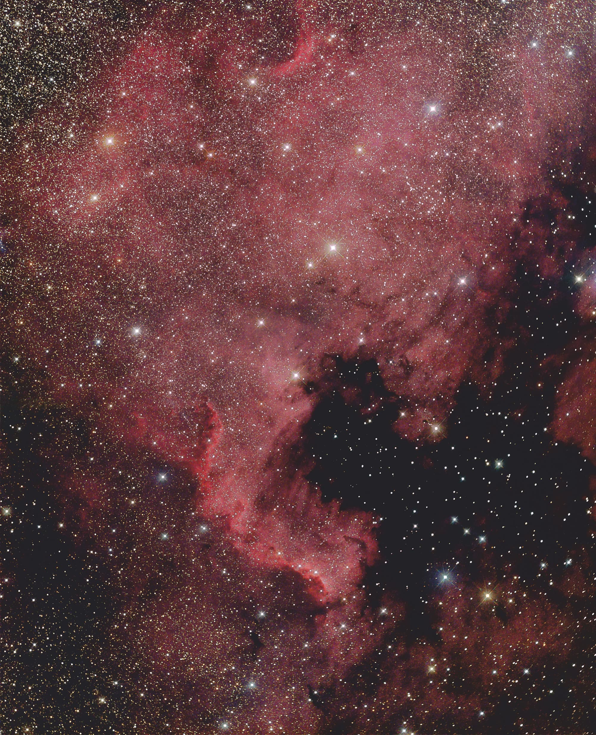 Nordamerikanebel NGC 7000 Nordamerikanebel NGC 7000