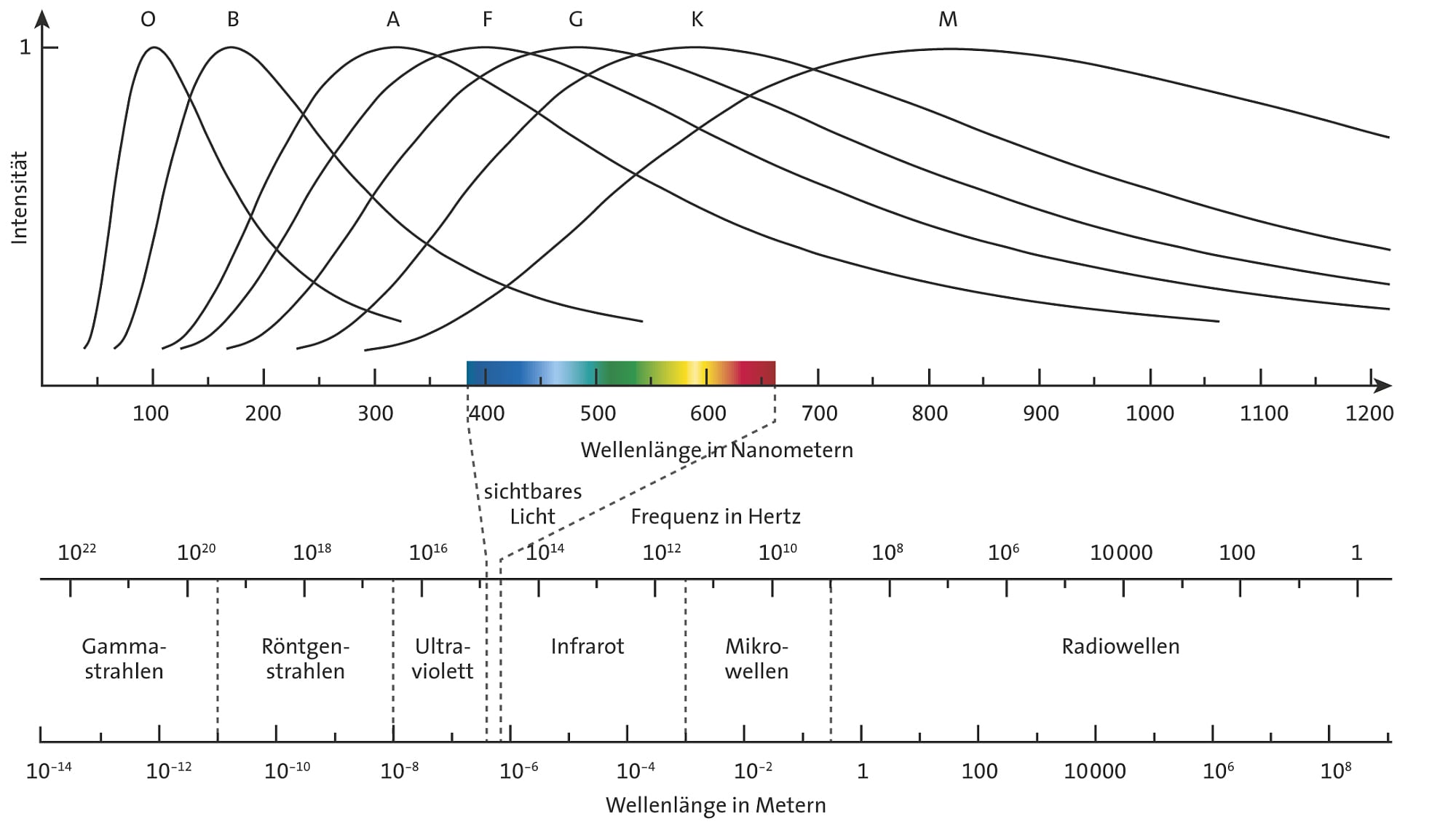 Die Farben Und Spektraltypen Der Sterne - Spektrum Der Wissenschaft