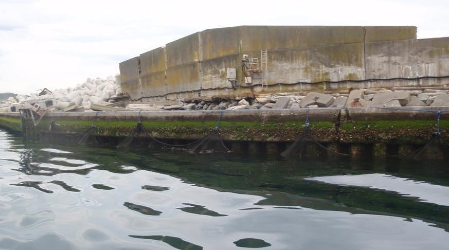 Netz sperrt den Hafen ab Netz sperrt den Hafen ab