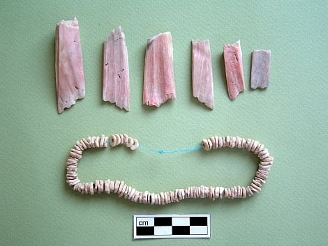 Spondylus-Bruchstücke und -Kette Spondylus-Bruchstücke und -Kette