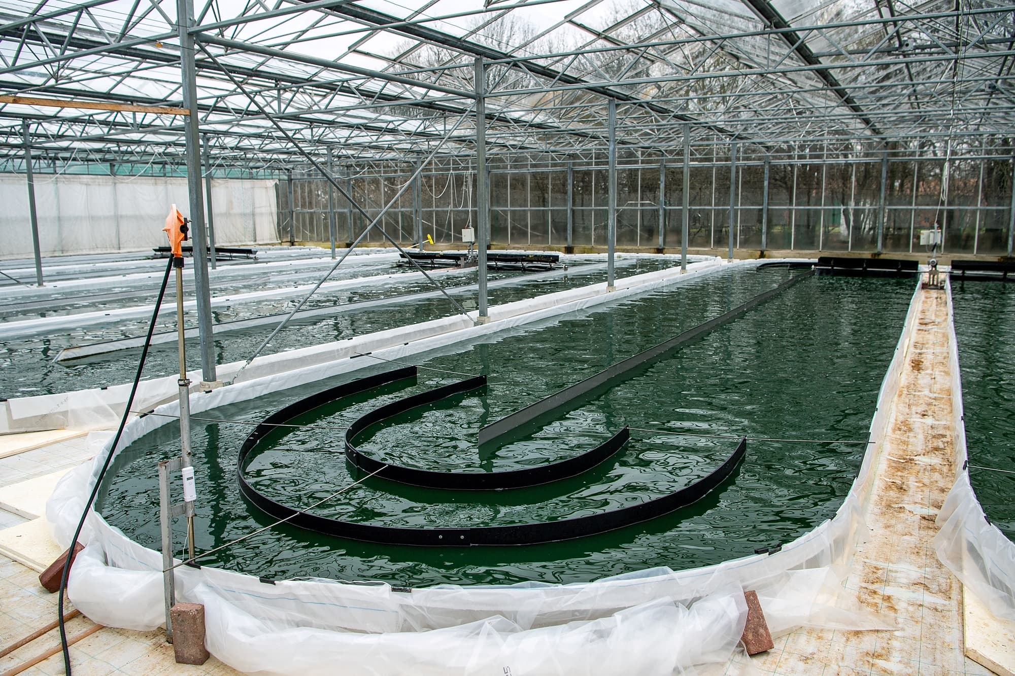 Spirulina-Anbau in Deutschland Spirulina-Anbau in Deutschland