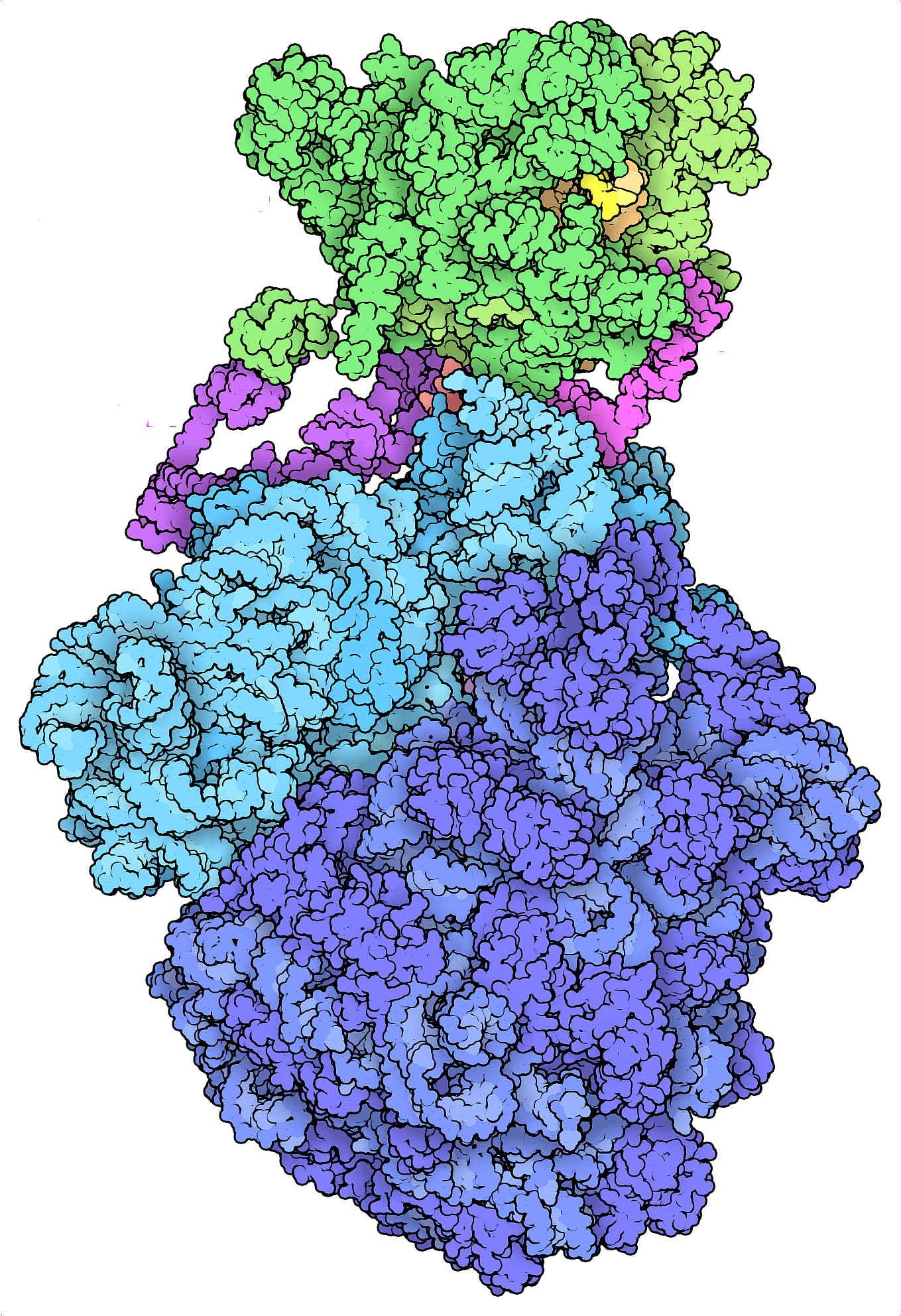 Eine molekulare Struktur aus der Protein Data Bank Eine molekulare Struktur aus der Protein Data Bank
