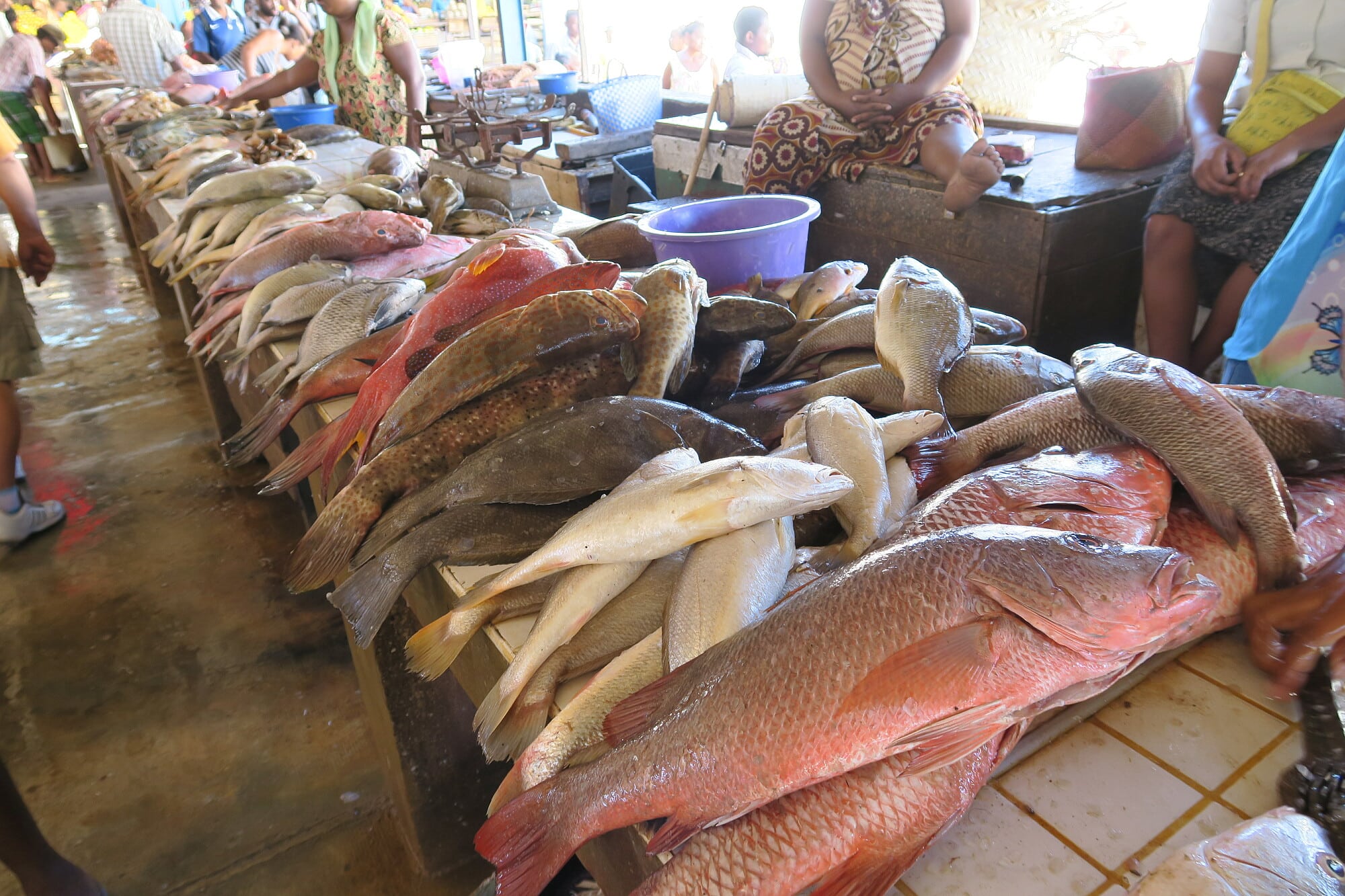 Fischmarkt auf Madagaskar Fischmarkt auf Madagaskar