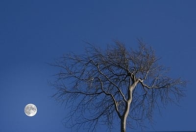 Mond am Abendhimmel Mond am Abendhimmel