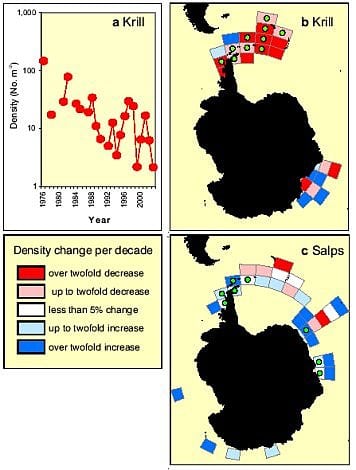 Veränderungen der Krill- und Salpen-Bestände in der Antarktis Veränderungen der Krill- und Salpen-Bestände in der Antarktis