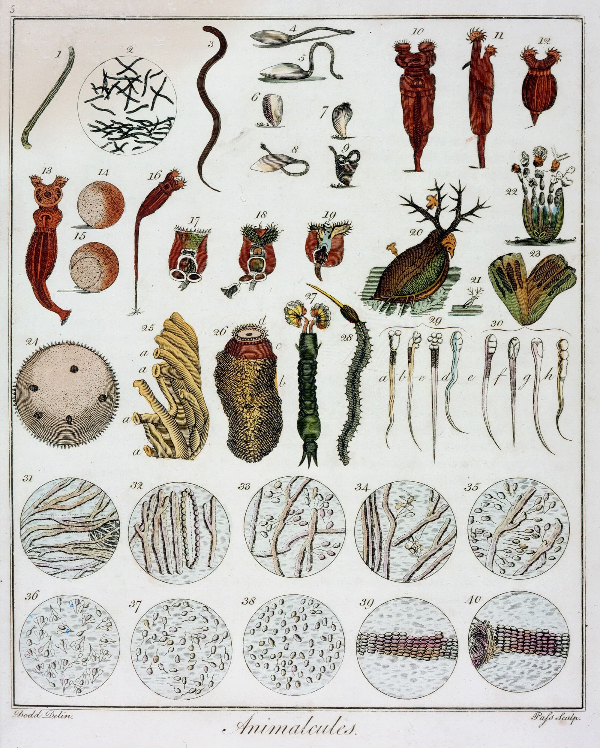 Aufbruch in die Mikrowelt Aufbruch in die Mikrowelt