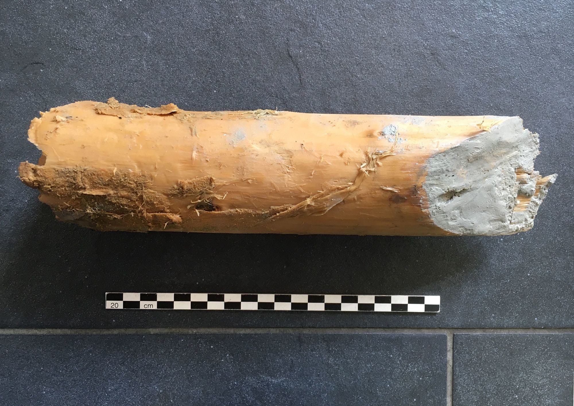 Pfosten aus Pappelholz Pfosten aus Pappelholz