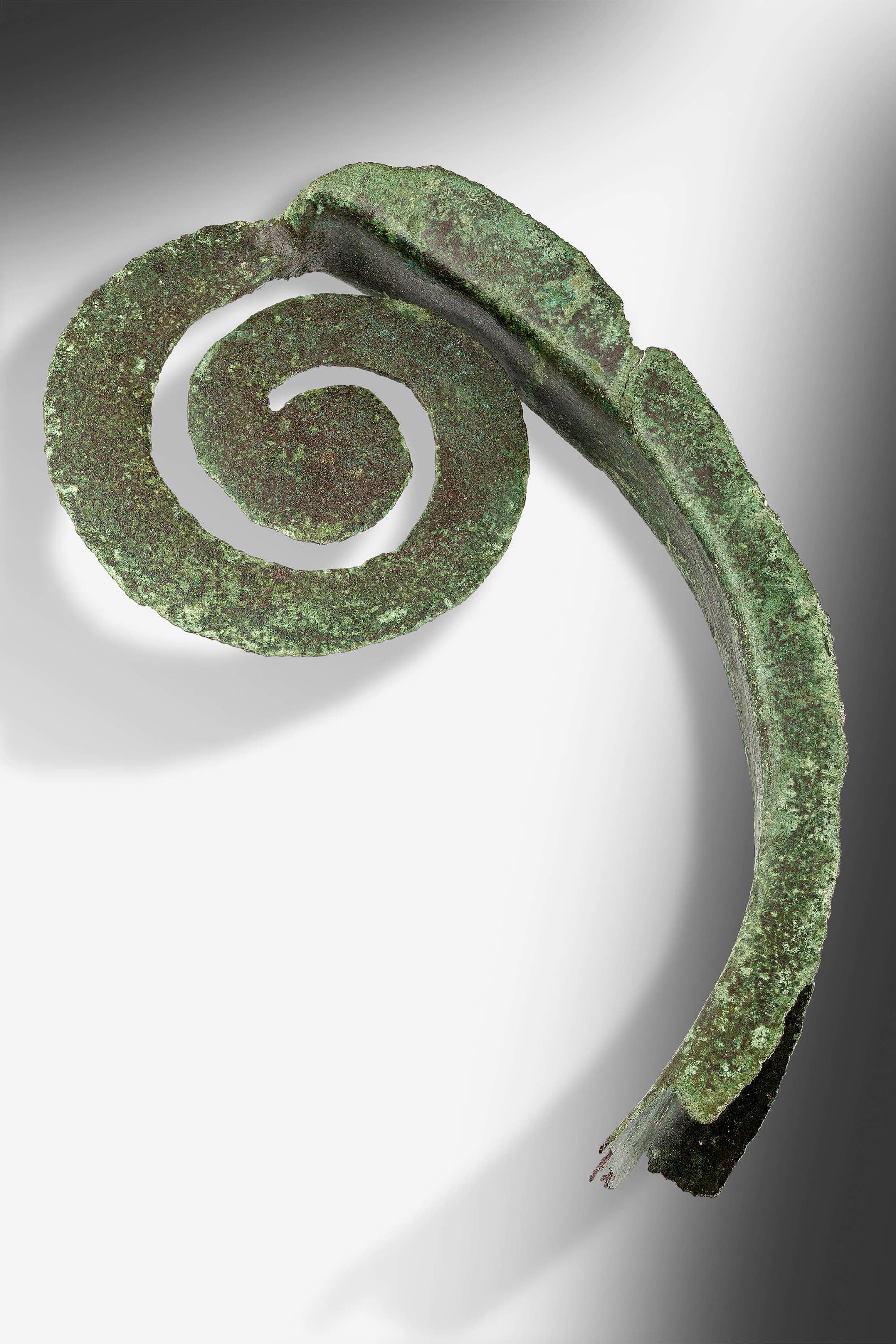 Spirale eines Lituus Spirale eines Lituus