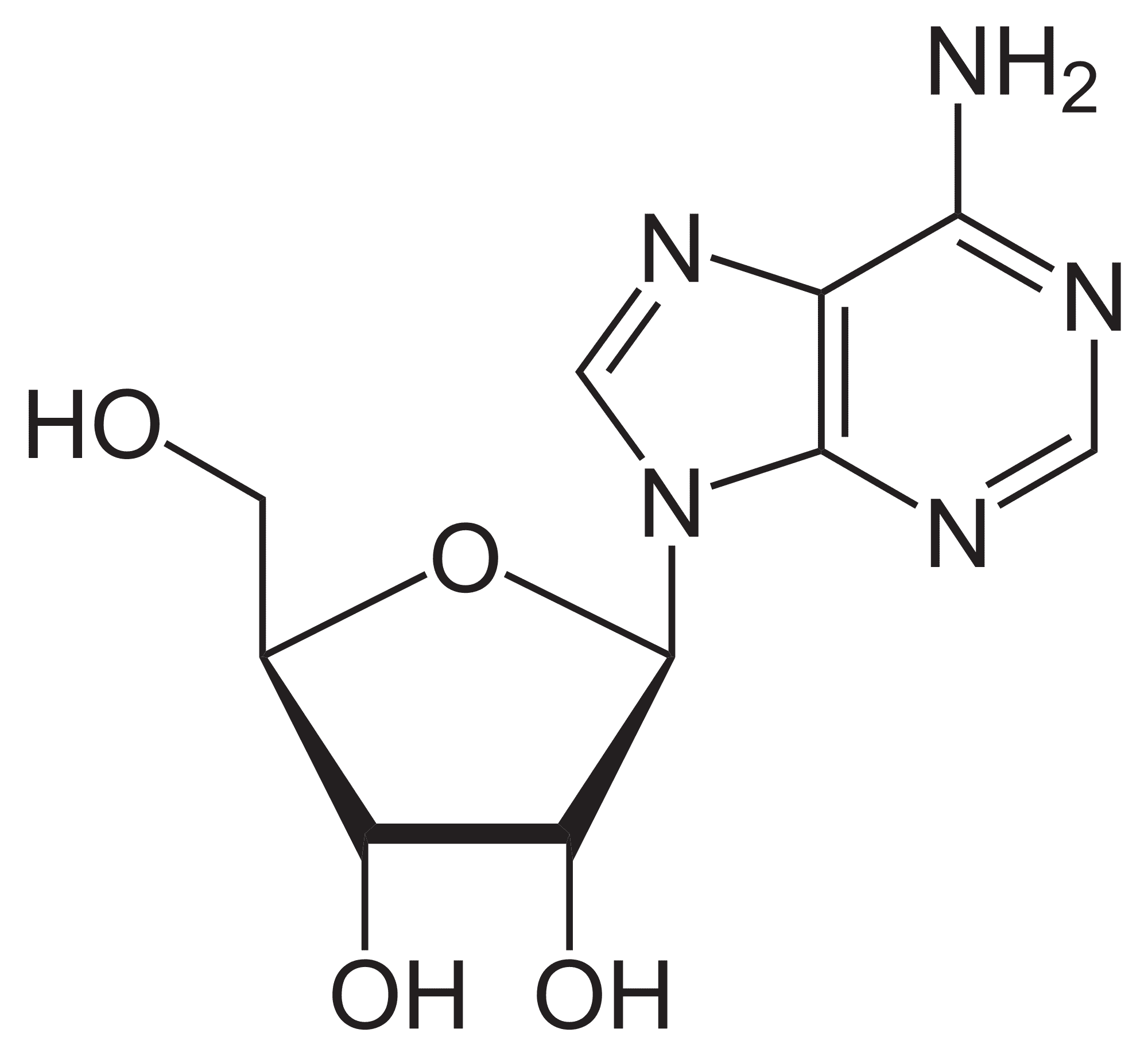 Adenosin Adenosin