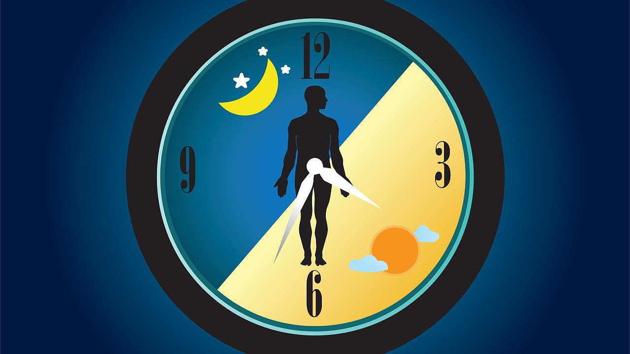 Chronobiologie: Trainieren nach der inneren Uhr ist besonders gesund