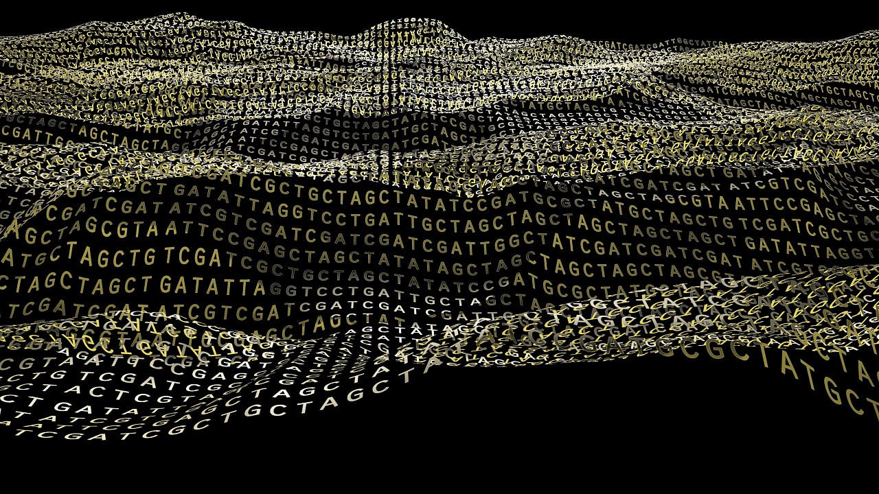 Mikroproteine: Die dunkle Materie in unseren Zellen