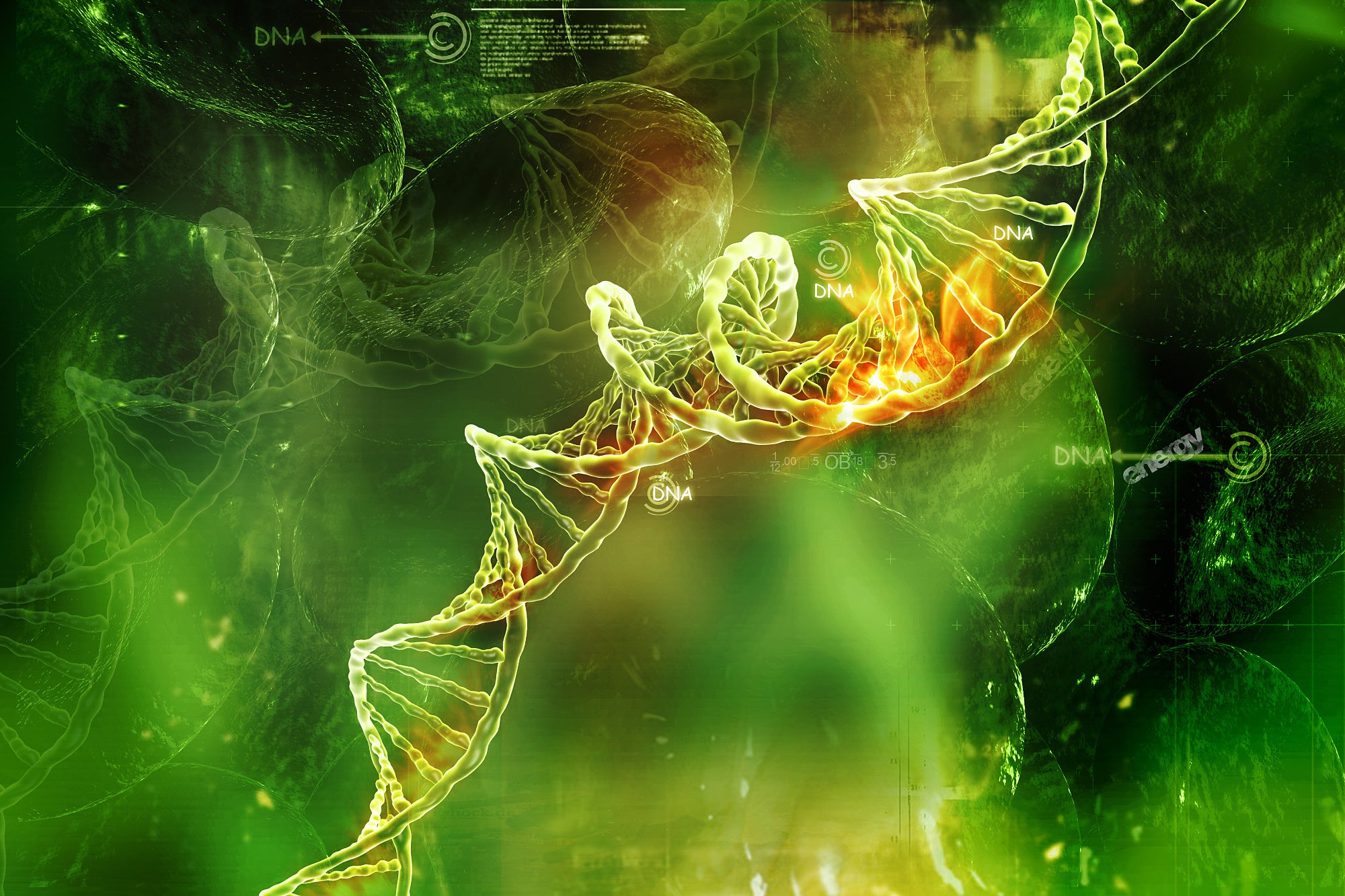 DNA-Strang DNA-Strang