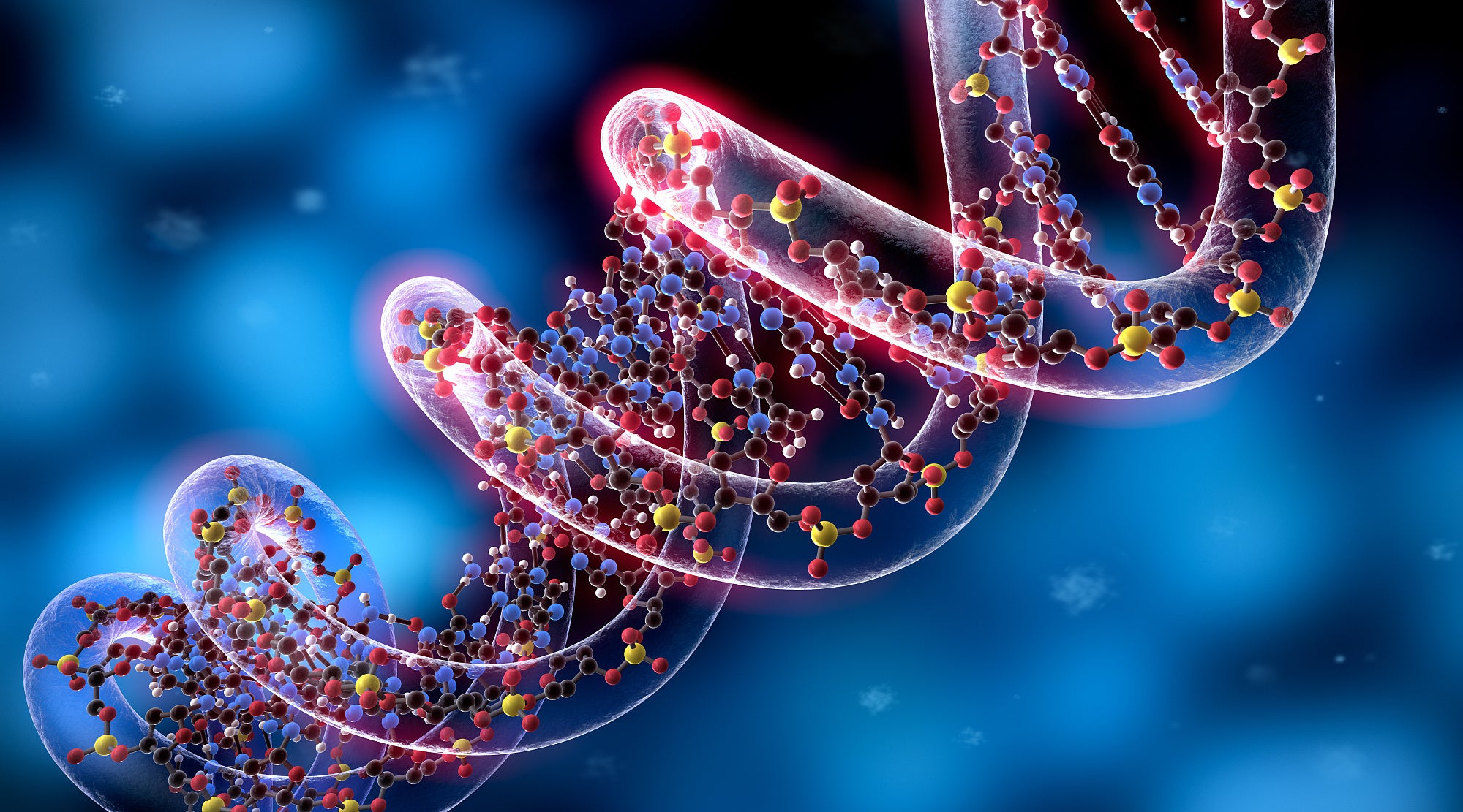 Synthetische Biologie Synthetische Biologie