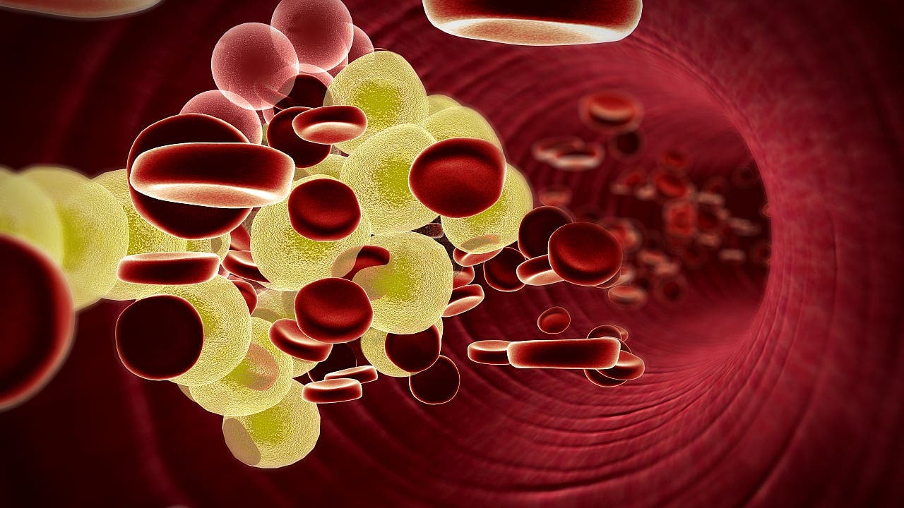 Statine, Ezetimib und Fibrate