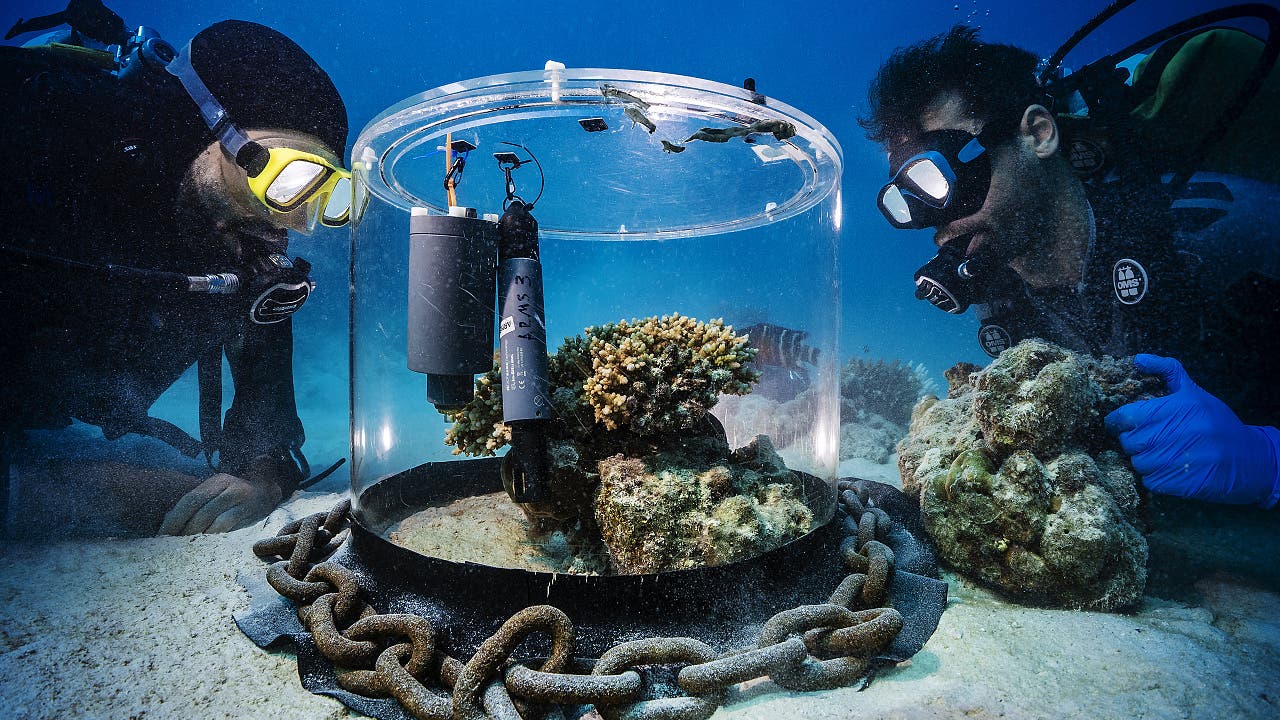Fotowettbewerb: Das sind die Gewinner des »Scienti