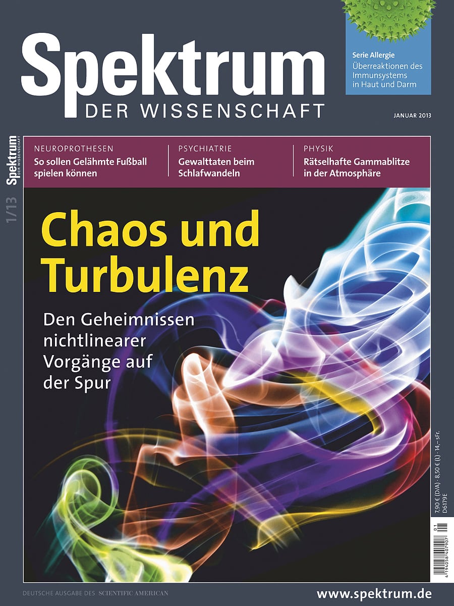 Aus Spektrum der Wissenschaft 01/2013 <br><a
href=