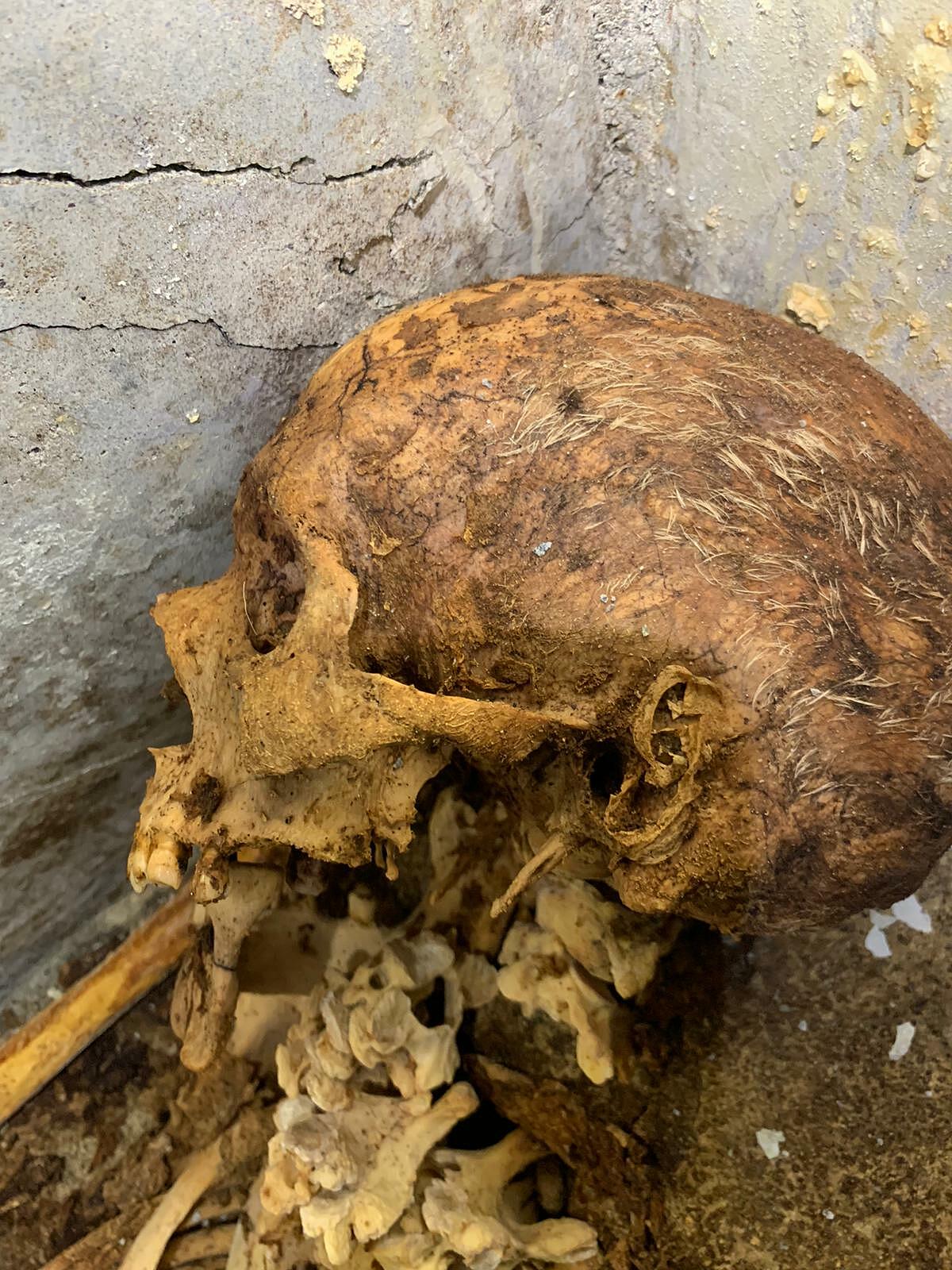 Pompeya: se descubre una tumba excepcionalmente bien conservada