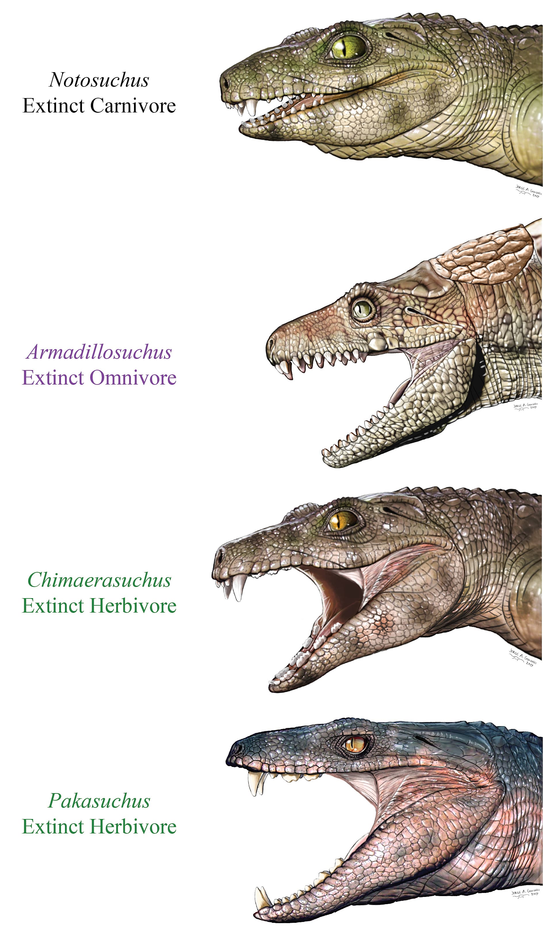 Ausgestorbene Krokodile Ausgestorbene Krokodile