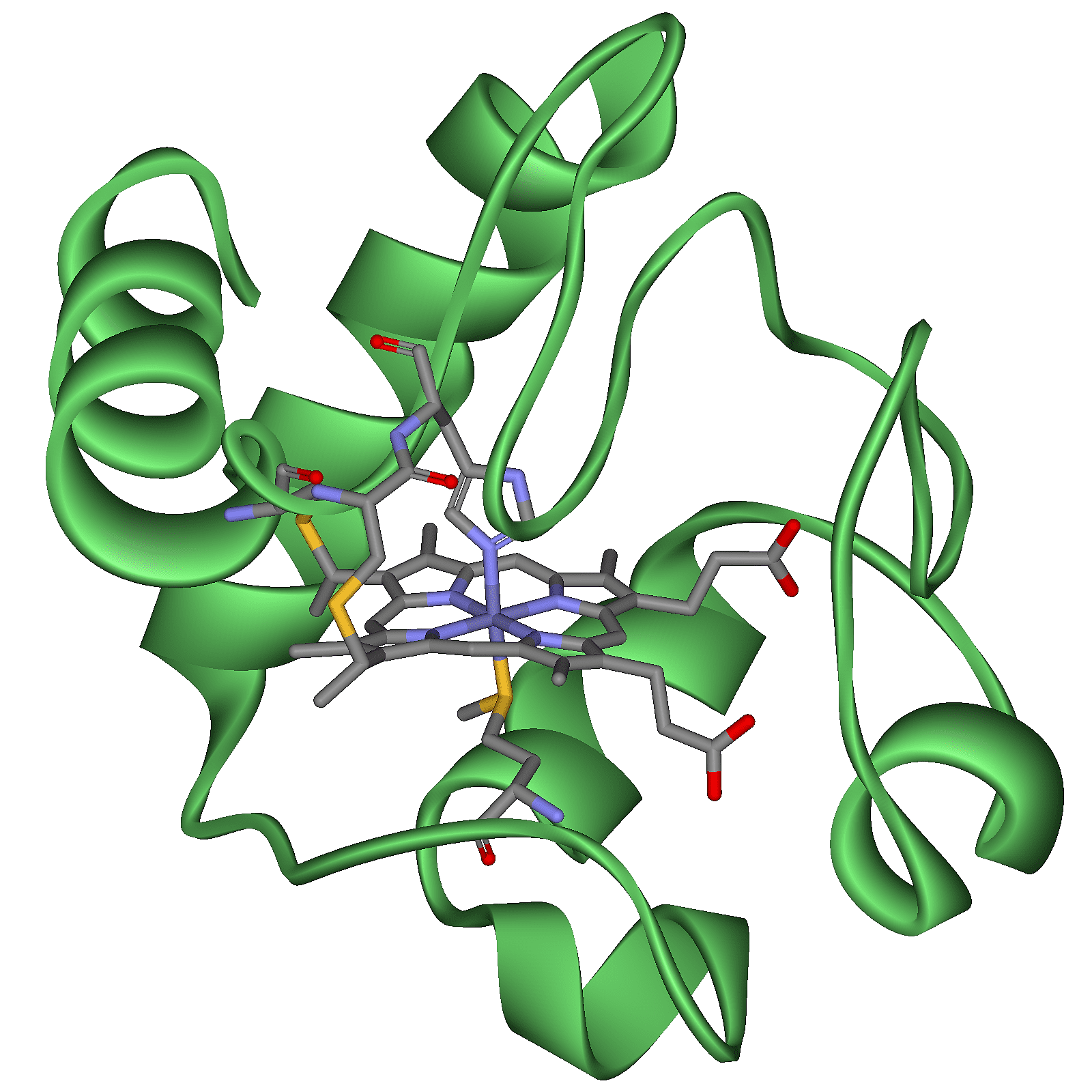 Struktur von Cytochrom C Struktur von Cytochrom C