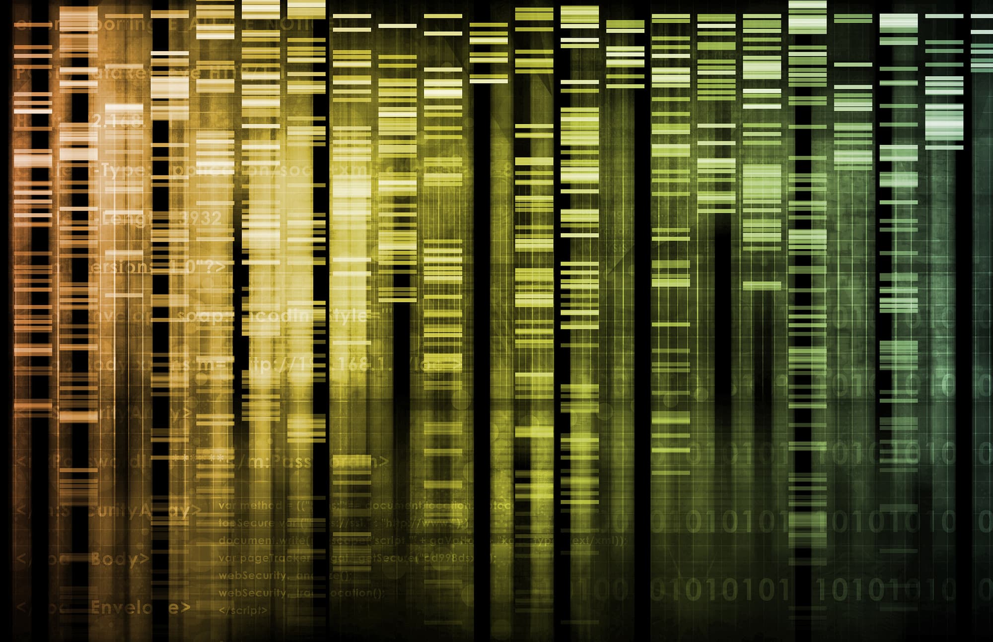 DNA-Fragment DNA-Fragment