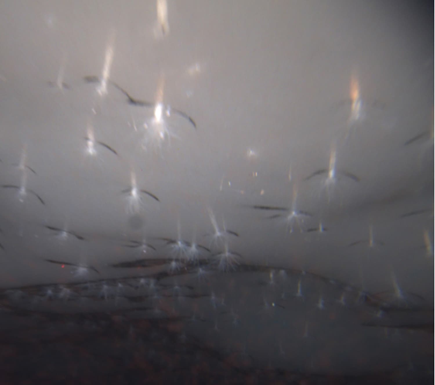 4. Lichter im Eismeer 4. Lichter im Eismeer