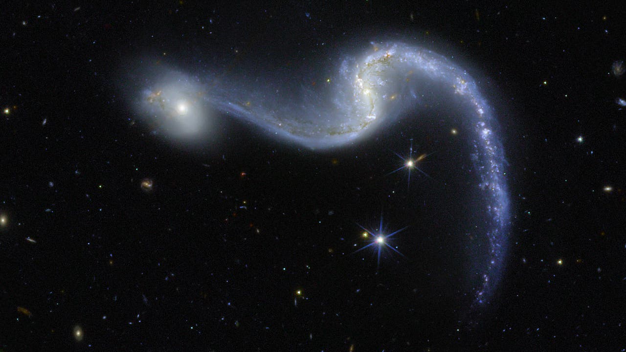 Bilder der Woche: Scheinbares Duo in der Kleinen Wasserschlange