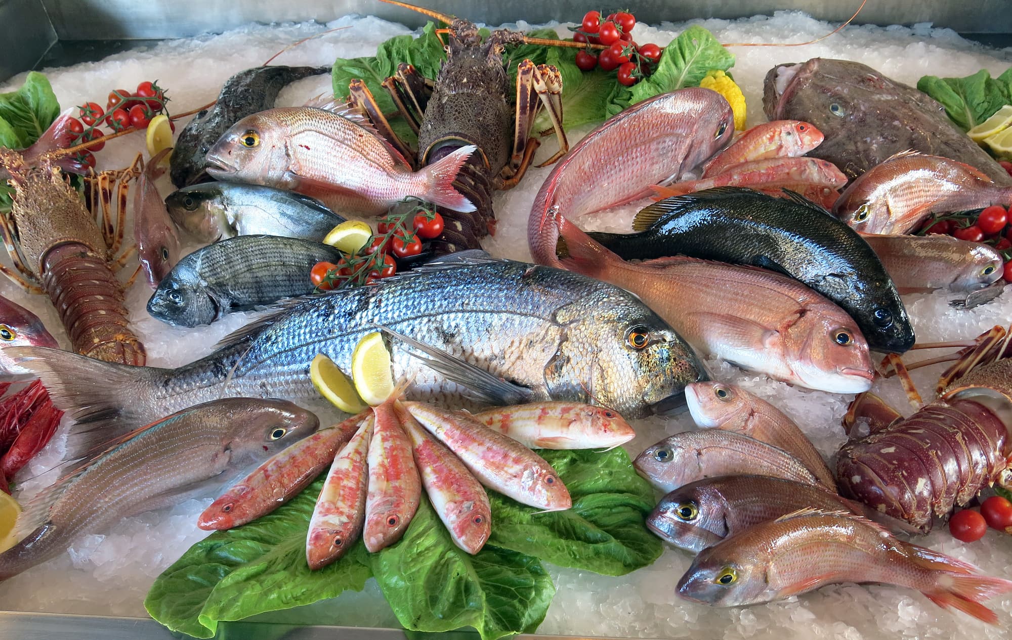 Frischer Fisch auf einer Platte drapiert Frischer Fisch auf einer Platte drapiert