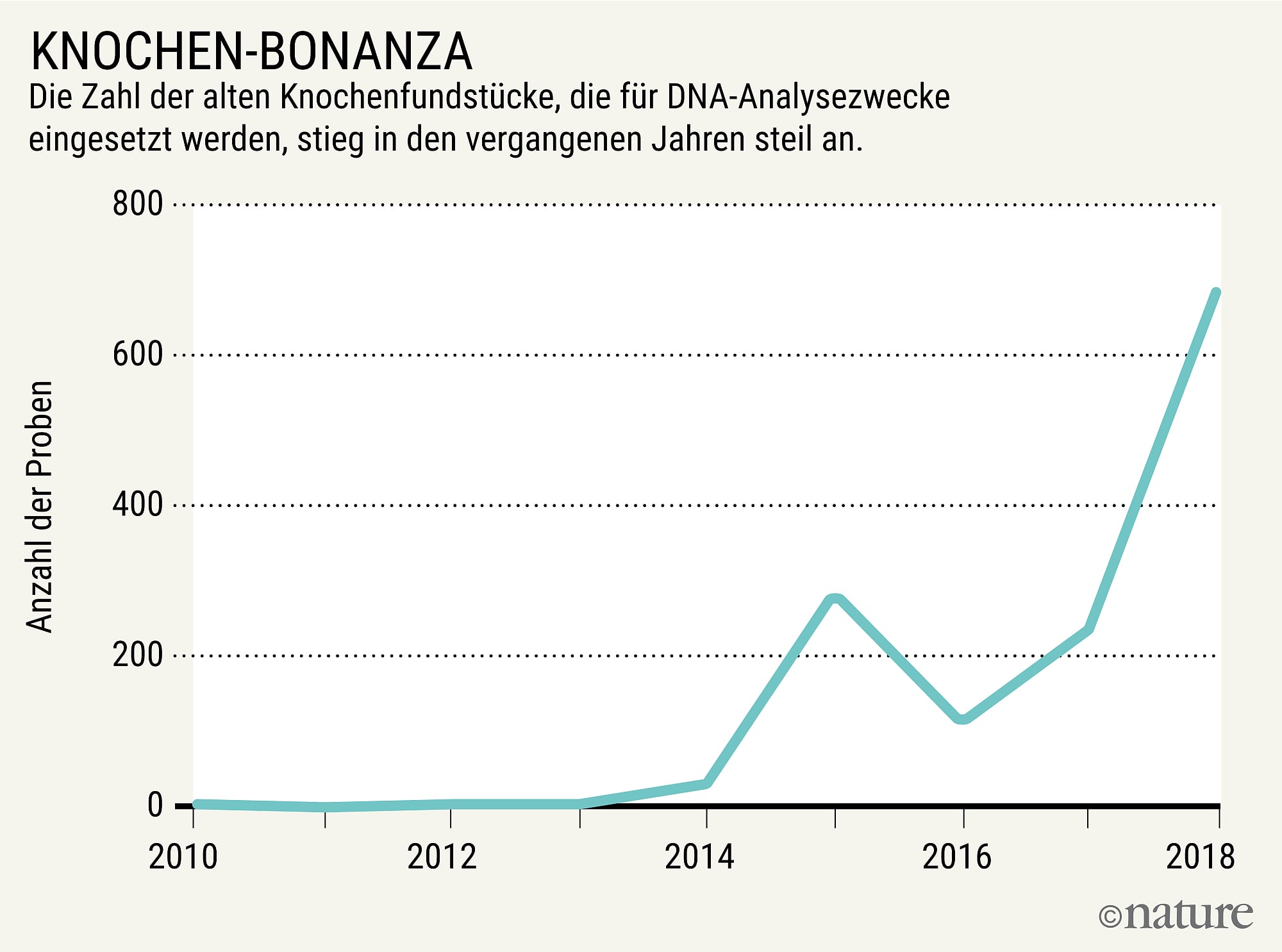 Knochen-Bonanza Knochen-Bonanza