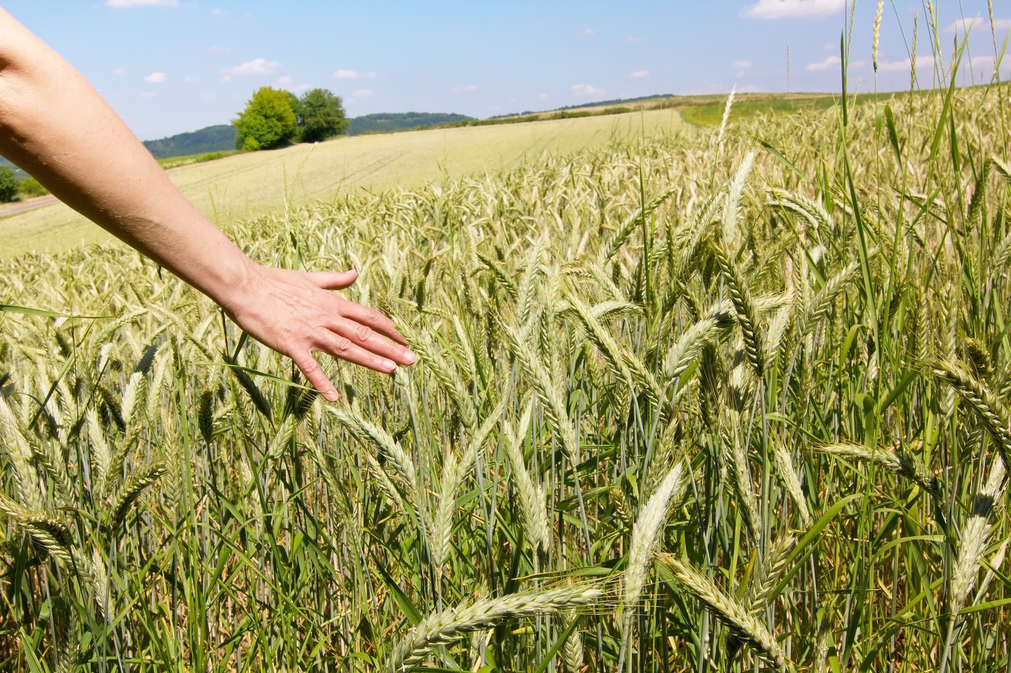In sich Hineinspüren In sich Hineinspüren