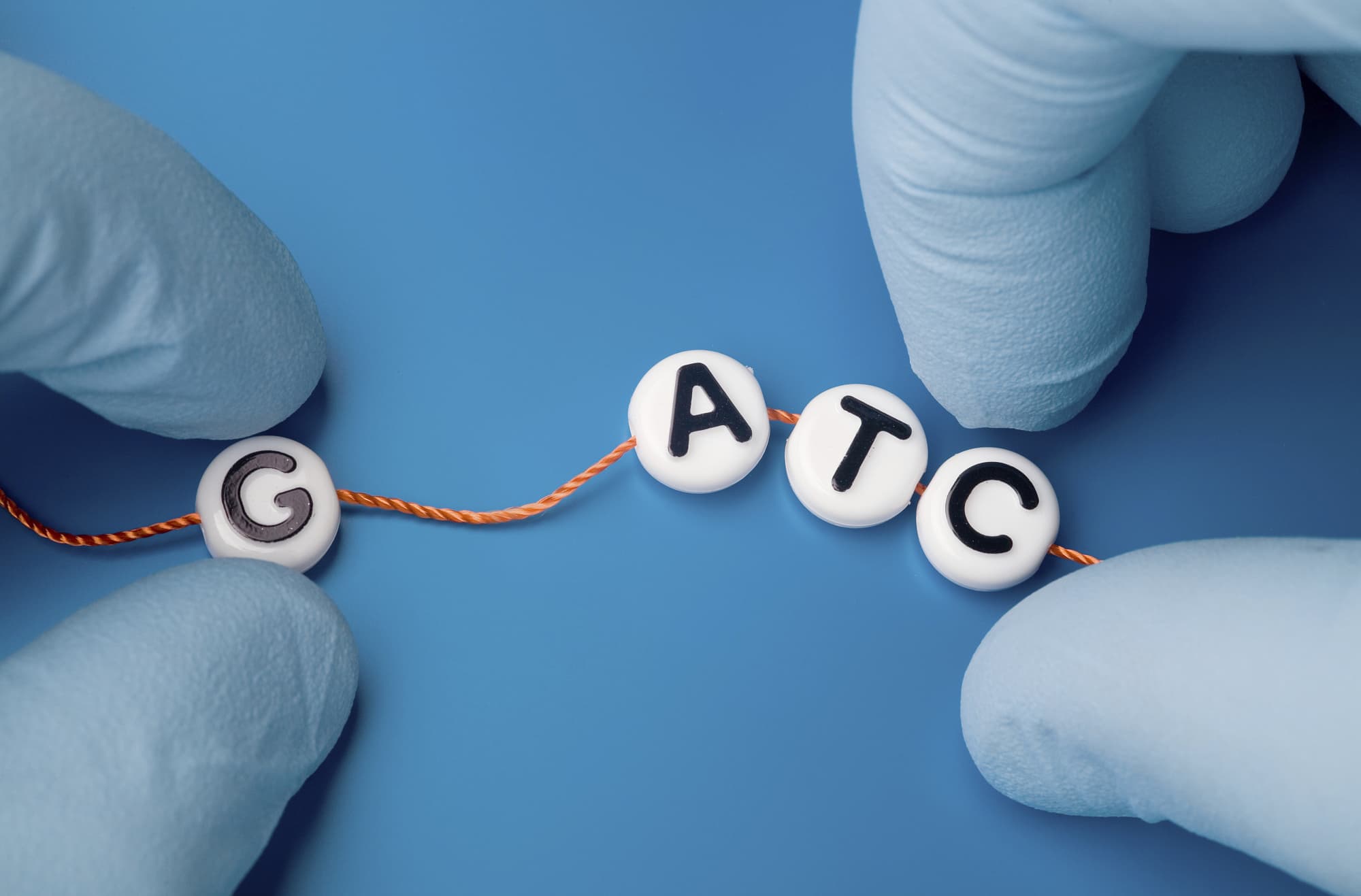 Gene Editing leicht gemacht Gene Editing leicht gemacht