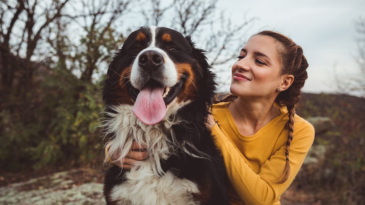 Haustiere: Leben mit Hund: das Für und Wider