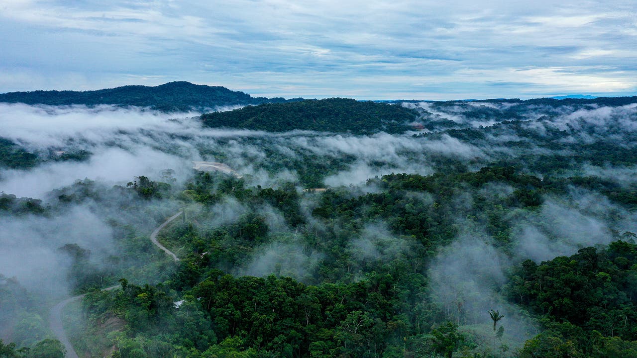 Wetterextreme: Abholzung im Amazonasbecken verstärkt Regen und Dürre