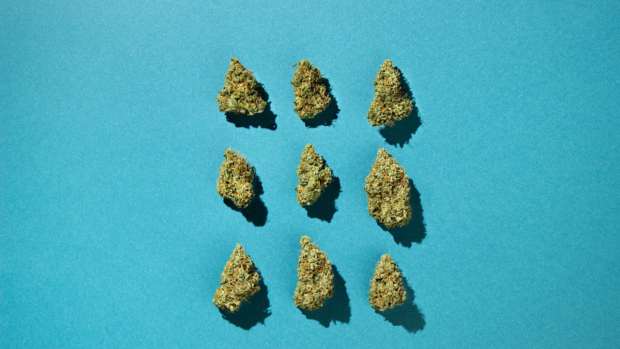 Drogen: Cannabislegalisierung – Deutschland jetzt XL-Markt