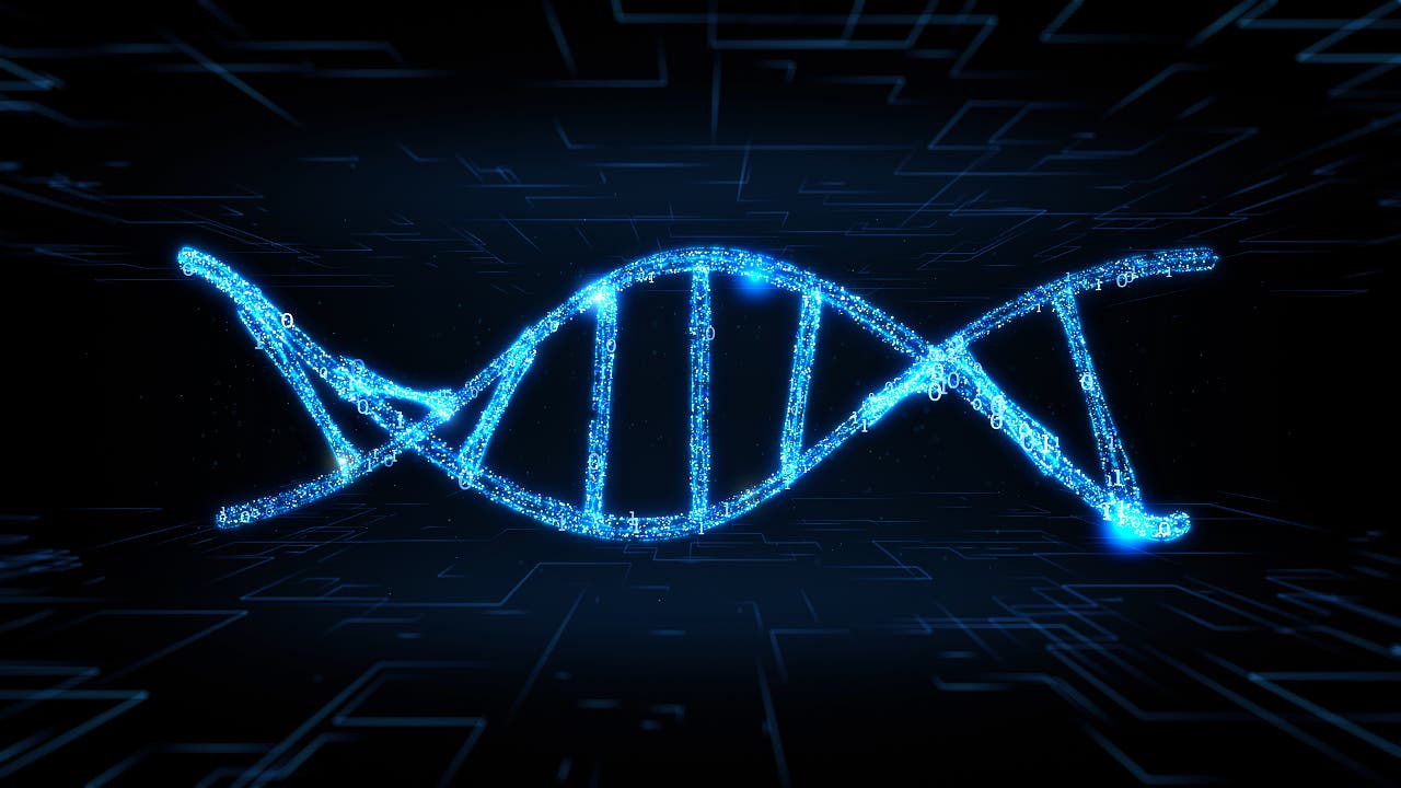 Medizinische Diagnostik und DNA-Nanopartikel
