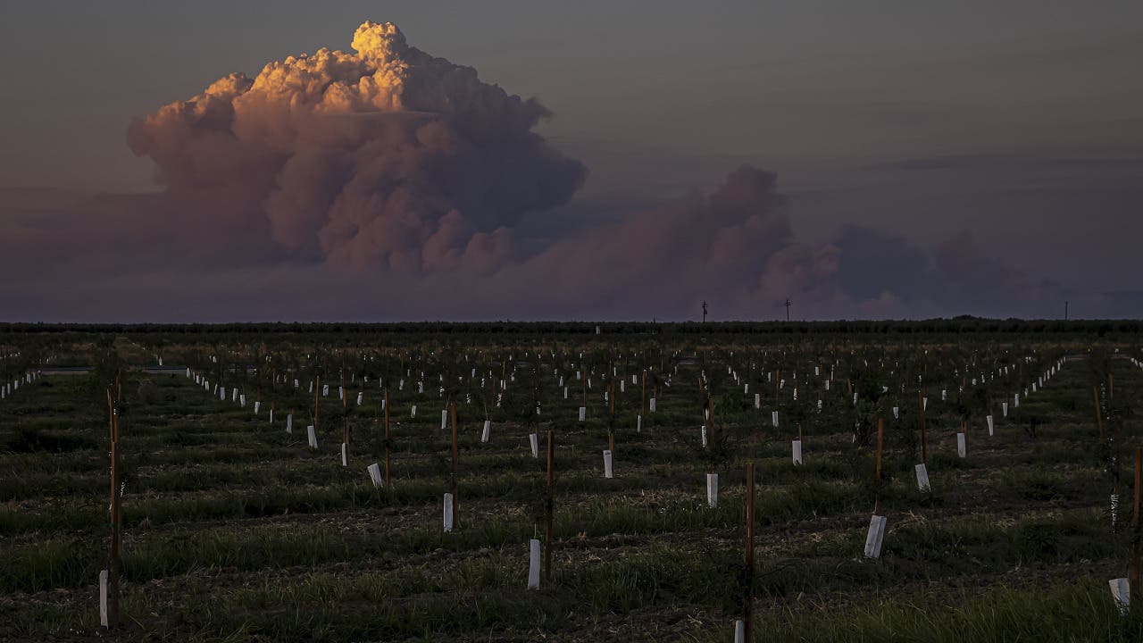 Pyrocumulonimbus-Wolken: »Das Feuer verhält sich anders. Es ist geradezu unberechenbar«